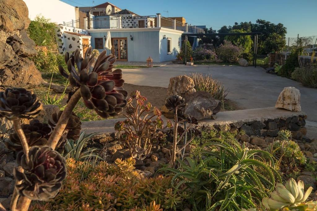 Апартаменты Casa Hilda 1 Эль-Пасо Экстерьер фото